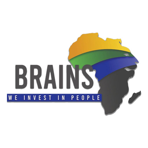 BRAINS Logo